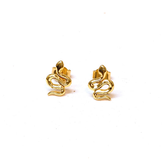 Polished Snake Earring Studs