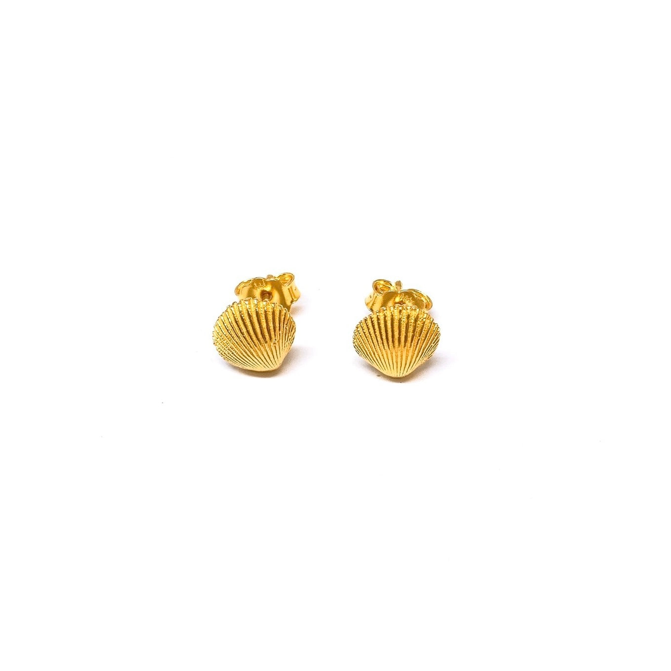 Matte Seashell Earring Studs